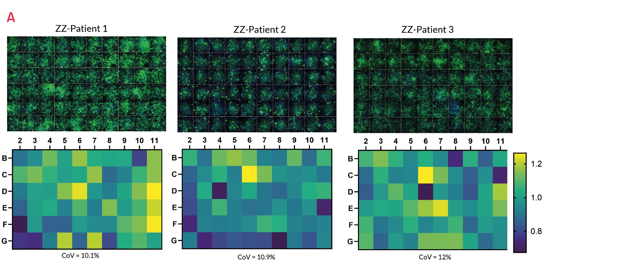 Figure 14. A1ATD Case Study