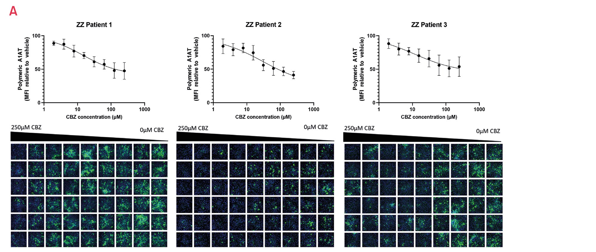 Figure 15. A1ATD Case Study