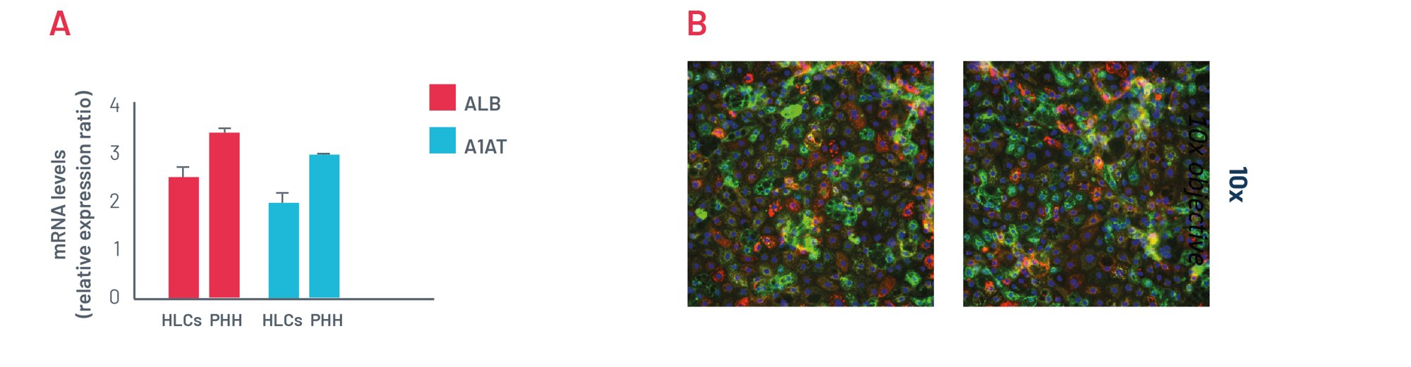 Figure 3. A1ATD Case Study-3