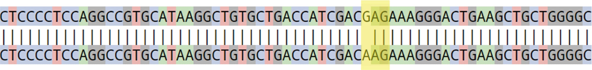 Figure 5. A1ATD Case Study