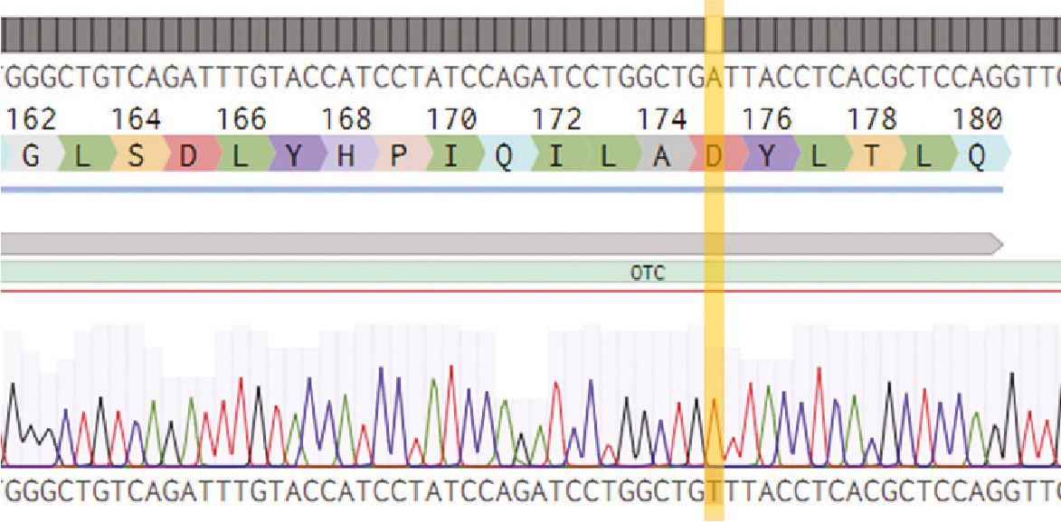 Figure 5. Sanger sequencing