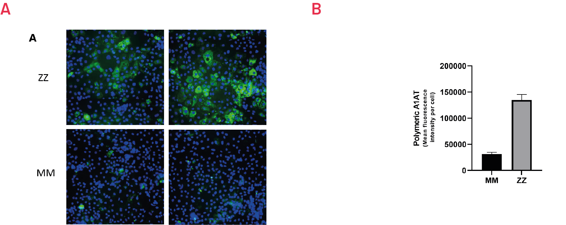 Figure 6. A1ATD Case Study