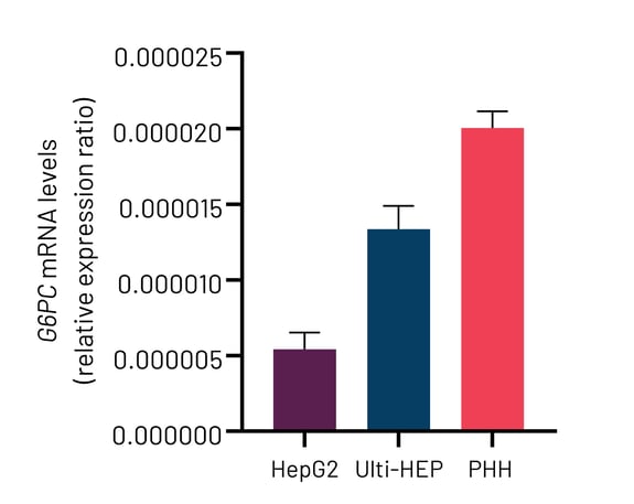 G6PC basal mRNA levels - HepG2_Ulti-HEP_PHH