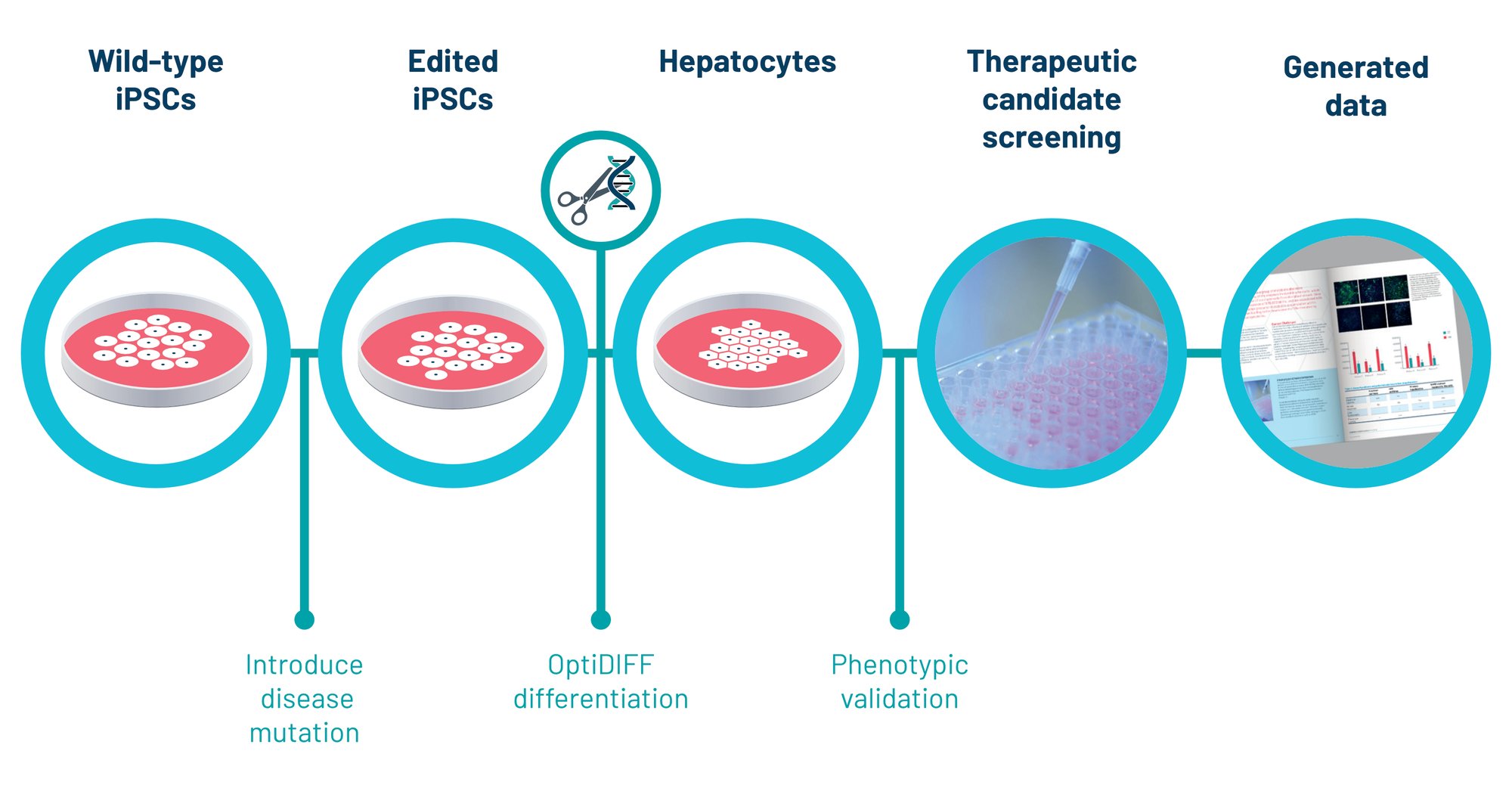 OptiDIFF Diagram