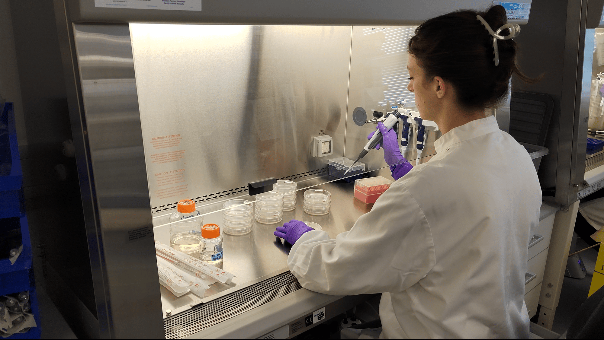 Lab researcher conducting drug discovery investigations