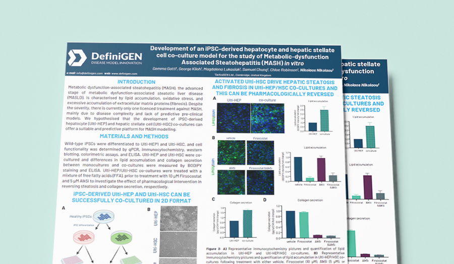 Development of an iPSC-derived hepatocyte and hepatic stellate cell co-culture model for MASH)