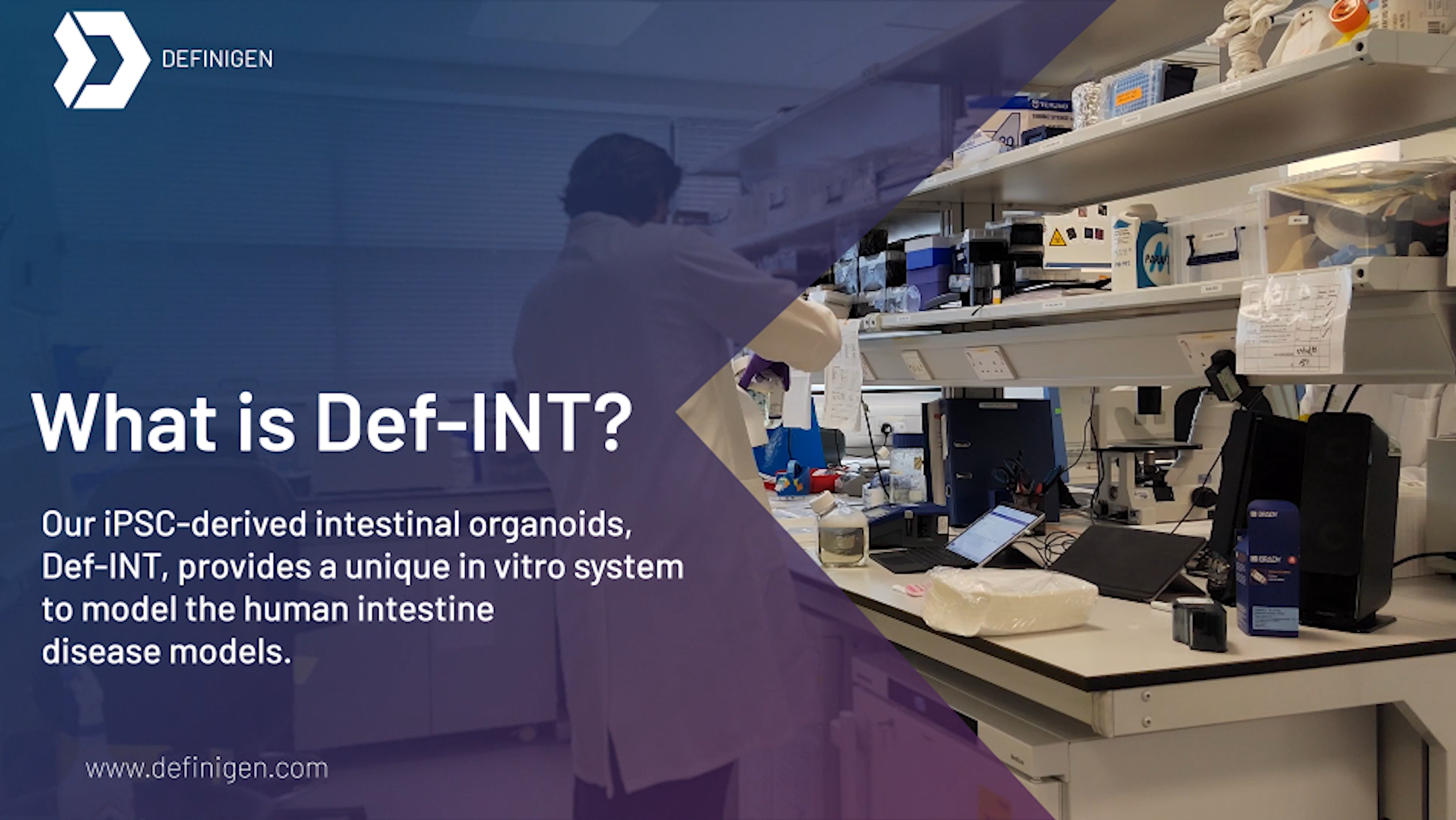 Introducing our iPSC-derived intestinal organoids: Def-INT